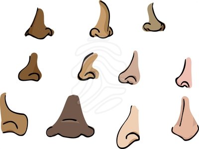 400x299 Of Noses Clipart