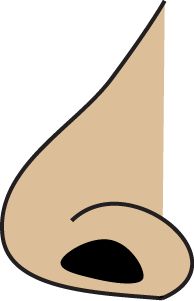 194x301 Free Nose Clipart Preschool Nose (Sense Of Smell)