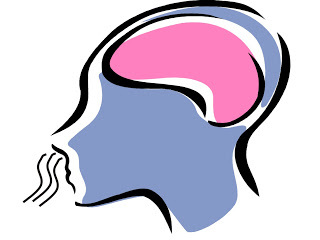 320x240 How The Brain Senses Smell
