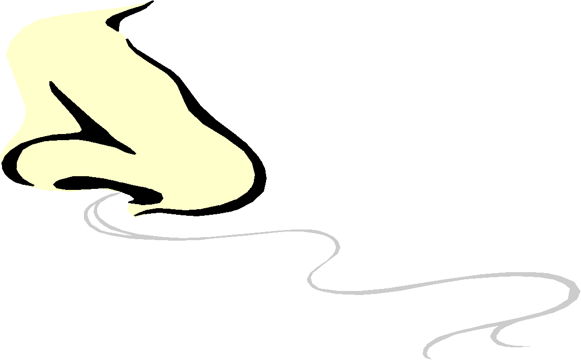 1142x709 Nose Smell Clipart