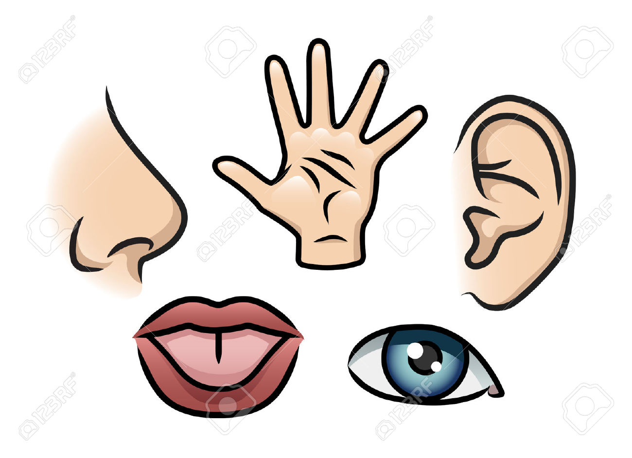 Nose Smell Clipart | Free download on ClipArtMag