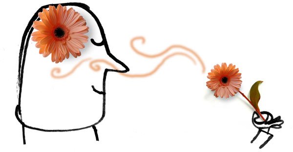 600x312 Sniff, And A Memory Is Evoked The Emotional Might Of The Nose