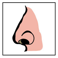 200x200 Clip Art Nose Smell Good Clipart Cliparthut