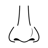 200x200 Clipart Nose
