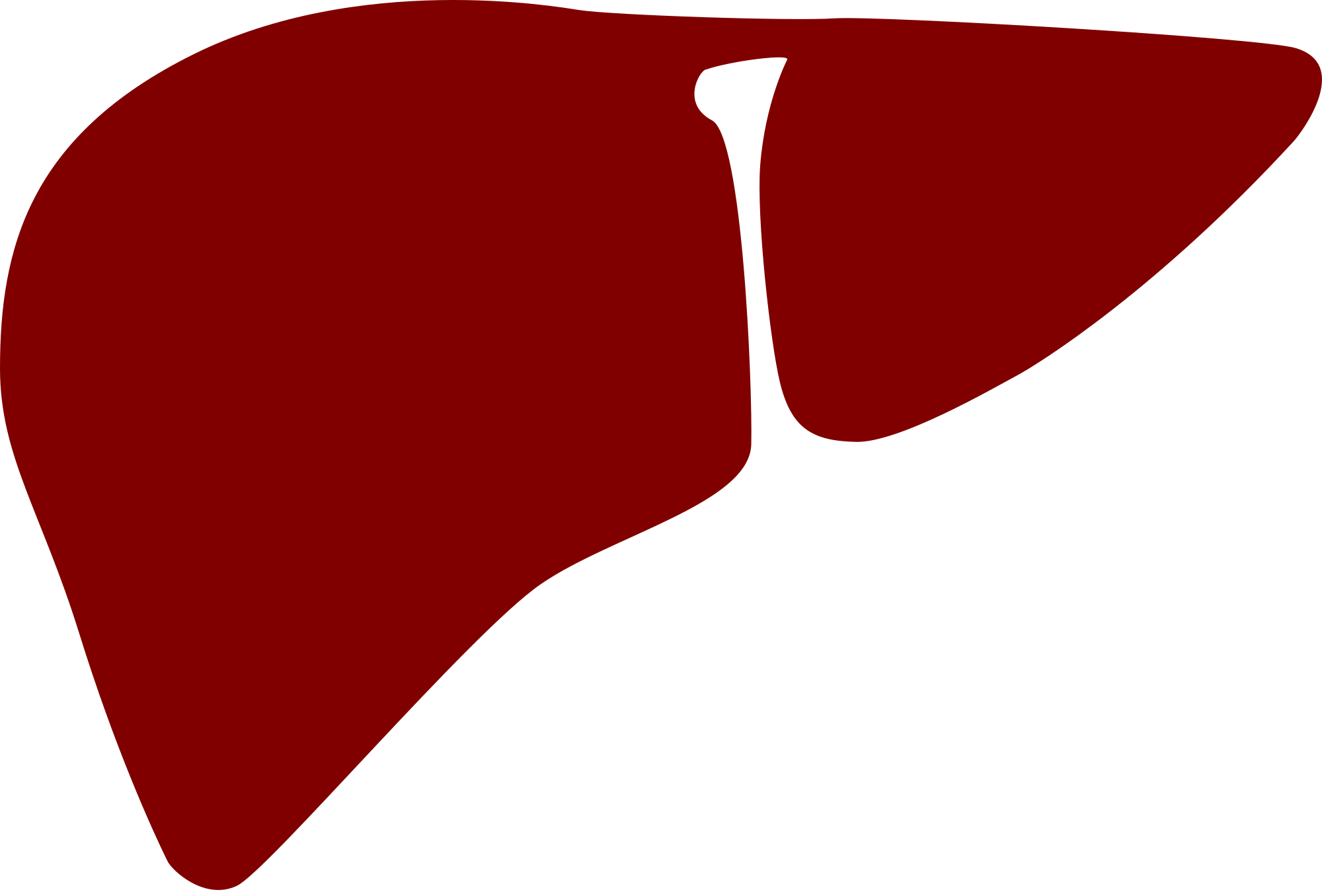 2000x1356 Fileliver Noun 28826 Cc Red.svg
