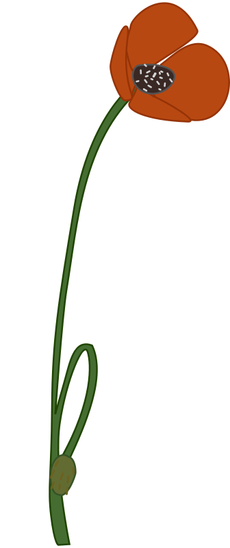 336x800 Free Clipart Common And Proper Noun Examples Jhnri4