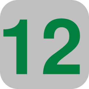 300x300 Number 12 Grey Flat Icon Clip Art