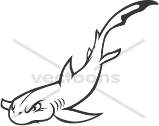 320x255 Wild Nurse Shark In Black