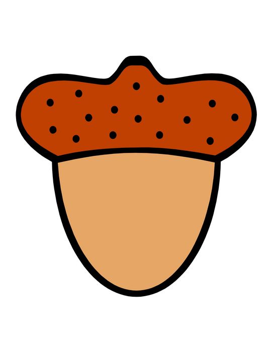 541x700 Nut Clipart Nutshell