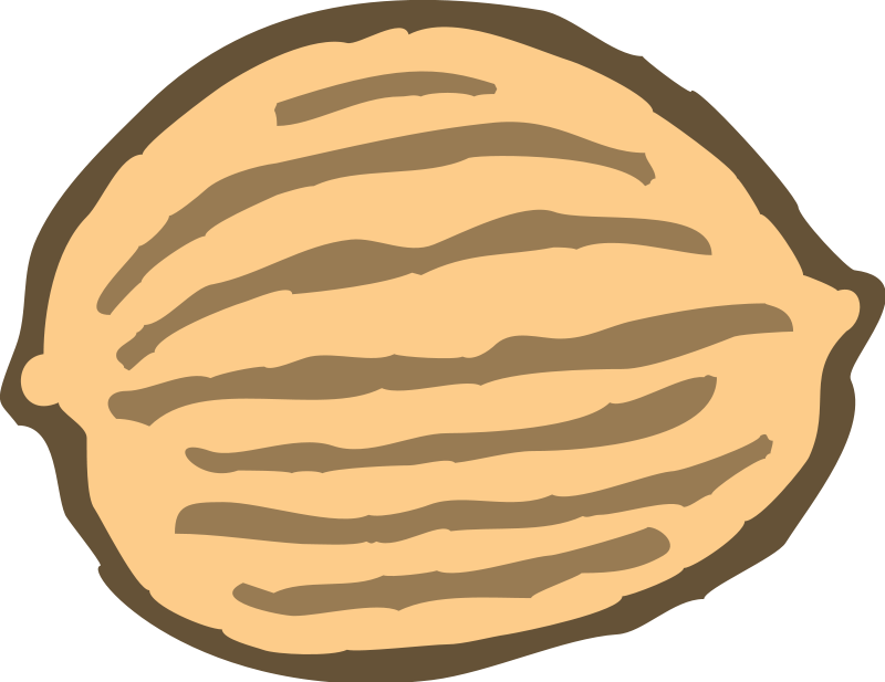 800x617 Nut Clipart Vector