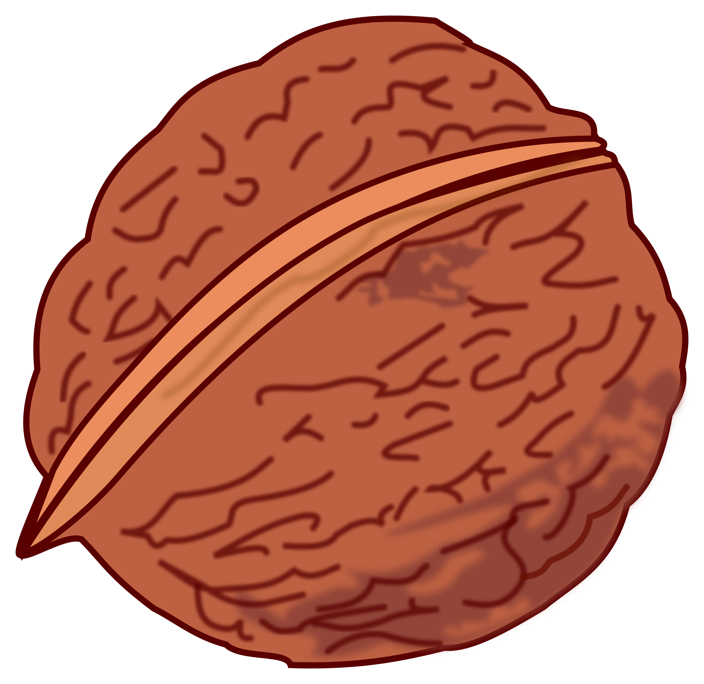 Nut Clipart | Free download on ClipArtMag