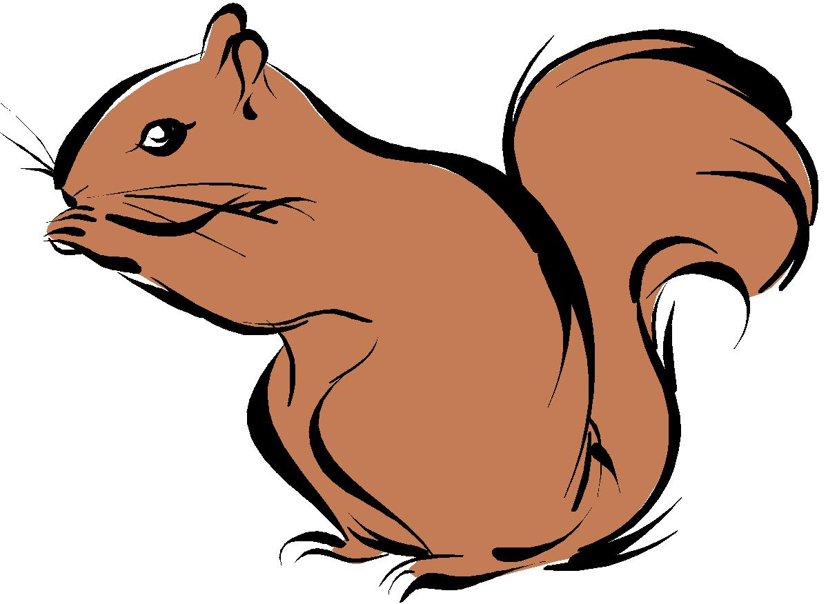 1213x876 Top 68 Squirrel Clipart