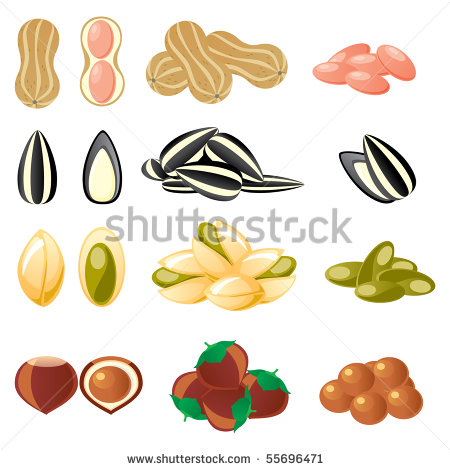 450x470 Mixed Nuts Cartoon Clipart