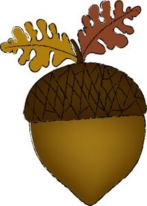 215x300 Nut Clipart