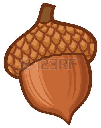 354x450 Nut Clipart Acorn