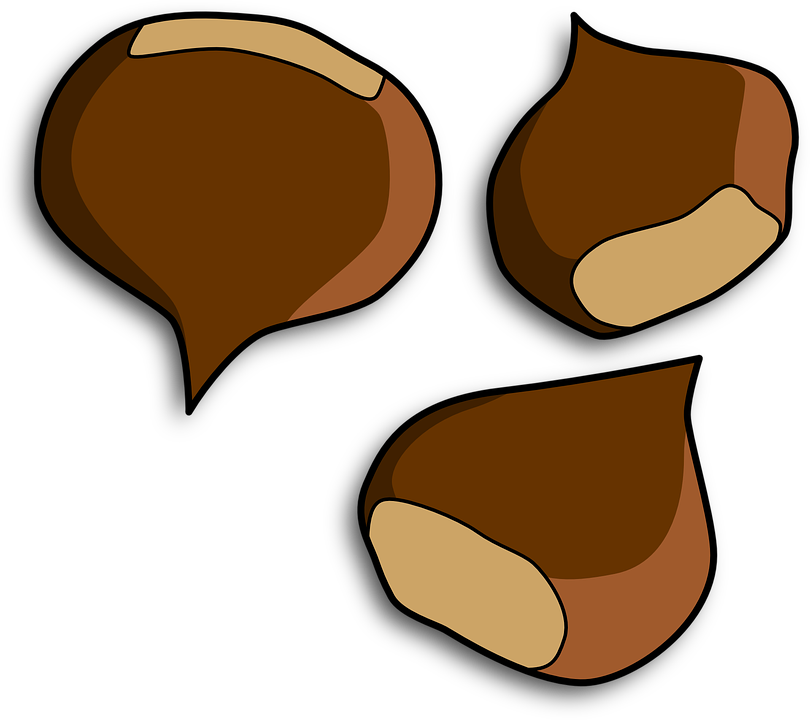 810x720 Nut Clipart Conker