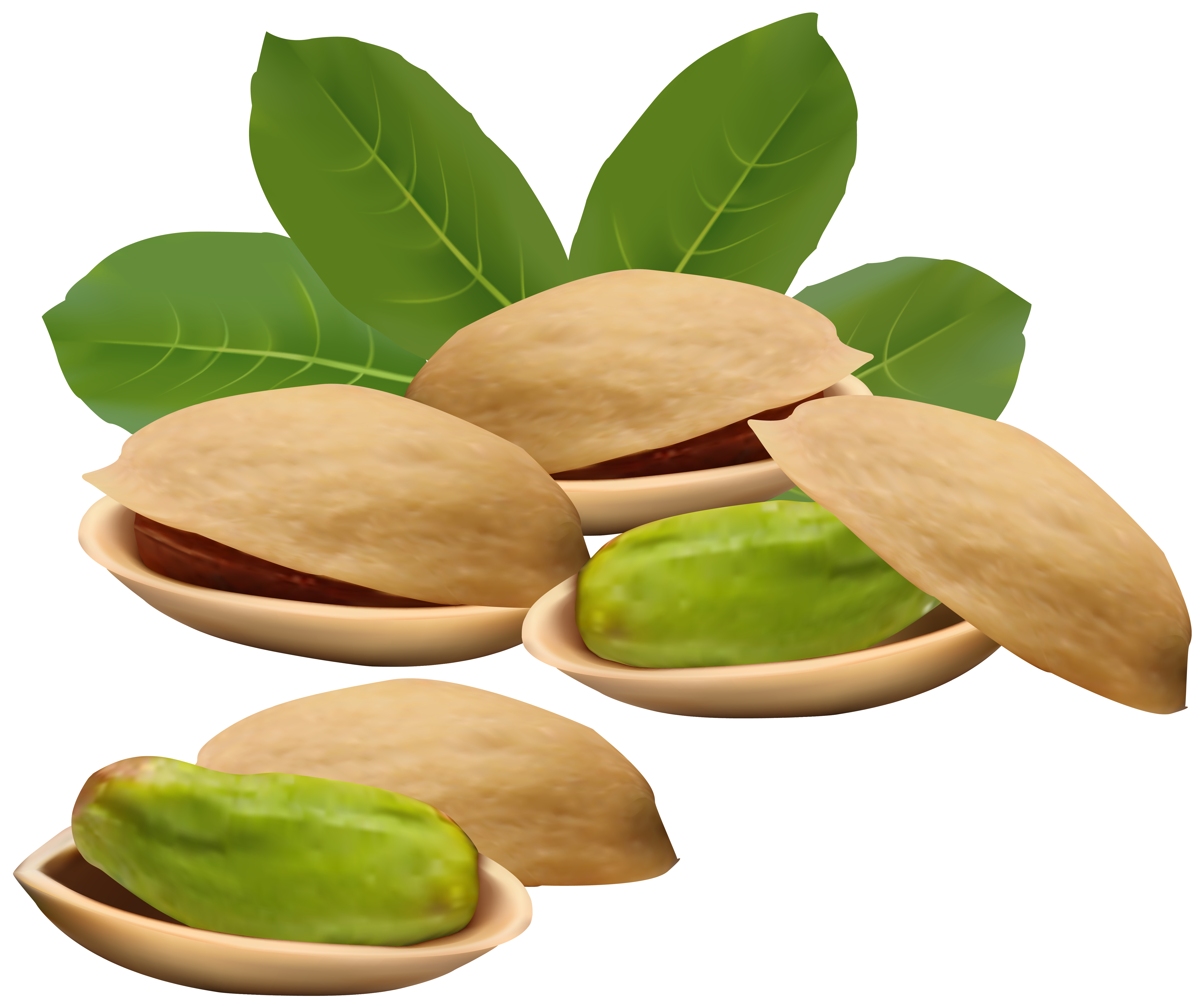 5856x4898 Pistachio Nuts Png Clipart Imageu200b Gallery Yopriceville