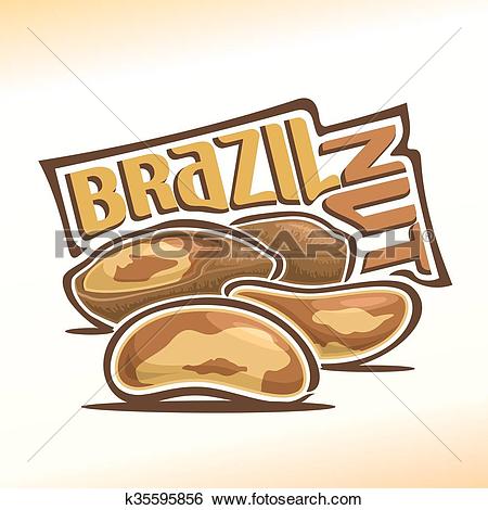 450x470 Brazil Nuts Clipart