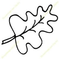 200x200 Leaf Outline Clipart