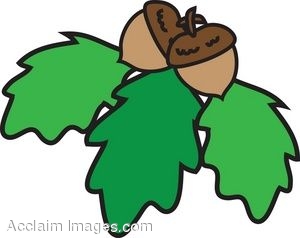 300x238 Acorn Clipart Oak Leaf