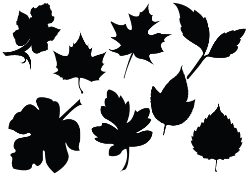 500x350 Oak Leaves Clipart