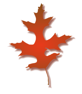 264x300 7155 Fall Leaf Outline Clip Art Public Domain Vectors