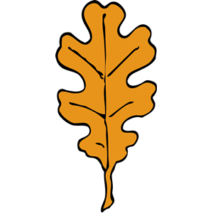 300x300 Oak Leaf Clipart