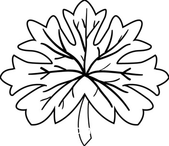 350x301 Plants Clipart Orange Fall Oak Leaf Bw Outline