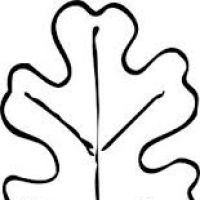 200x200 Leaf Outline Clipart