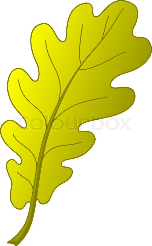 494x800 Oak Leaf, Autumn Stock Vector Colourbox
