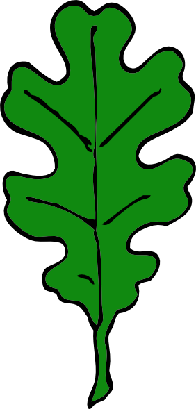 282x589 Green Oak Leaf Clip Art