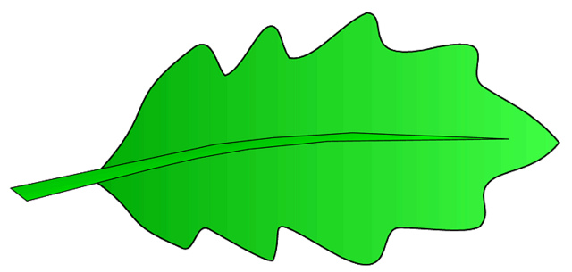 640x305 Leaf Clipart Oak Leaf
