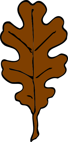 282x589 Brown Oak Leaf Clip Art