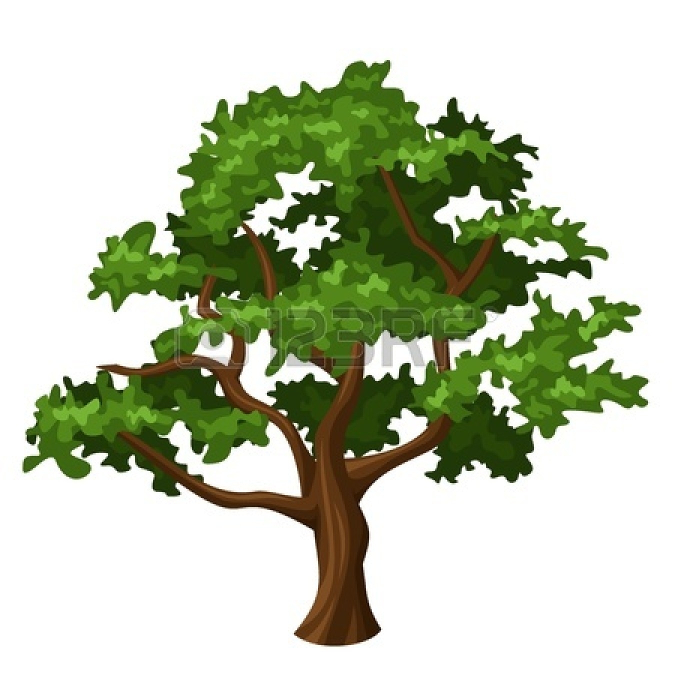 1350x1350 Oak Nut Clipart