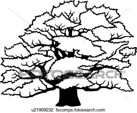 450x370 Clipart Of , Common Oak, Seasons, Tree, Winter, Varieties