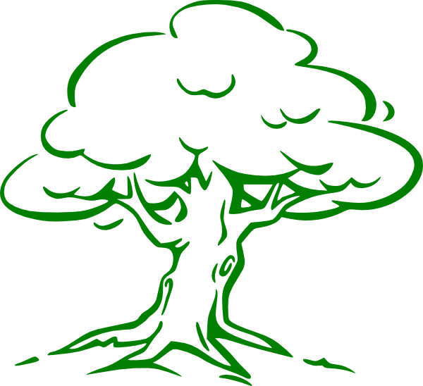 600x548 Outline Green Oak Tree Clipart