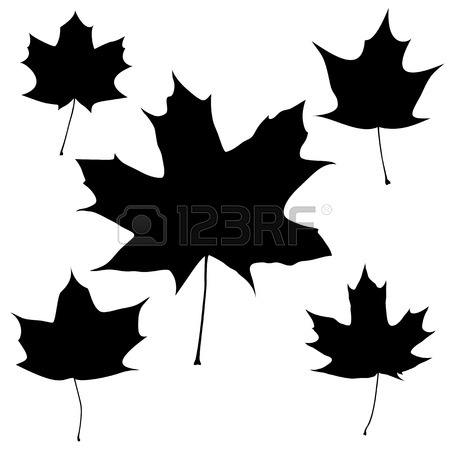 450x450 Set Of Vector Black Oak Leaves Outline On The White Background