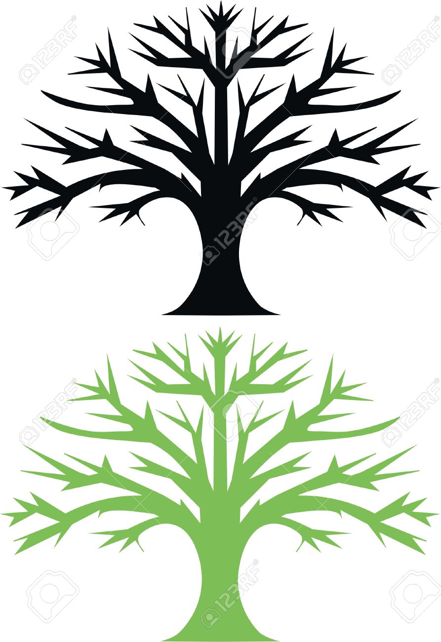 893x1300 Oak Tree Images Clip Art