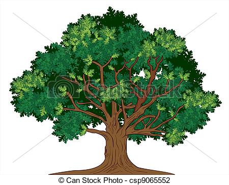 450x364 Old Oak Tree Clip Art Cliparts