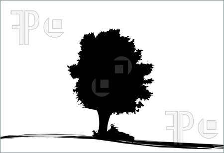 450x308 Oak Tree Silhouette Logo