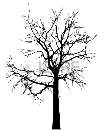 354x450 94 Live Oak Tree Silhouette Stock Vector Illustration And Royalty