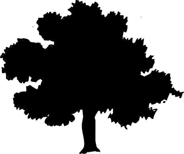 640x535 The Best Oak Tree Silhouette Ideas Diy String