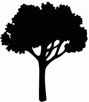 288x330 Tree Silhouette Clipart Png