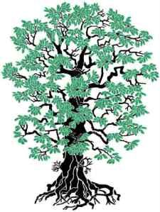 225x299 Beautiful Green Oak Tree Silhouette On Brown Background