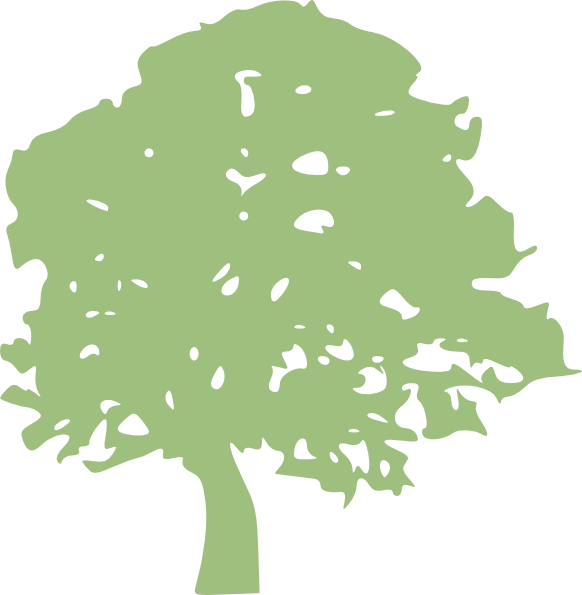 582x595 Oak Tree Clip Art