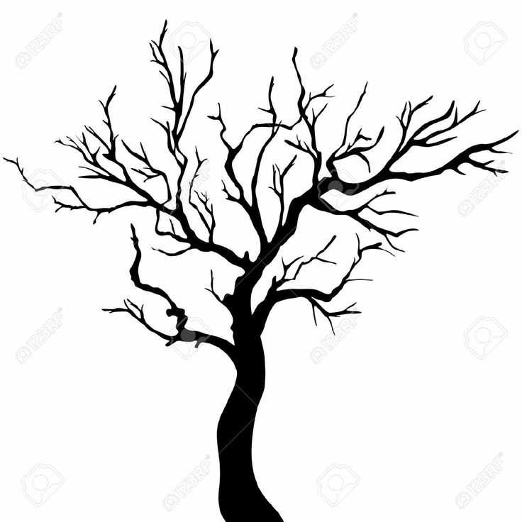 736x736 Top 10 Tree Silhouette Clip Art