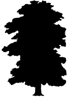236x333 Tree Silhouette Woodbuning Tree Silhouette