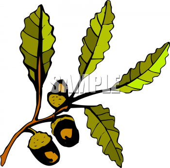 350x345 Royalty Free Branch Clip Art, Grass And Tree Clipart
