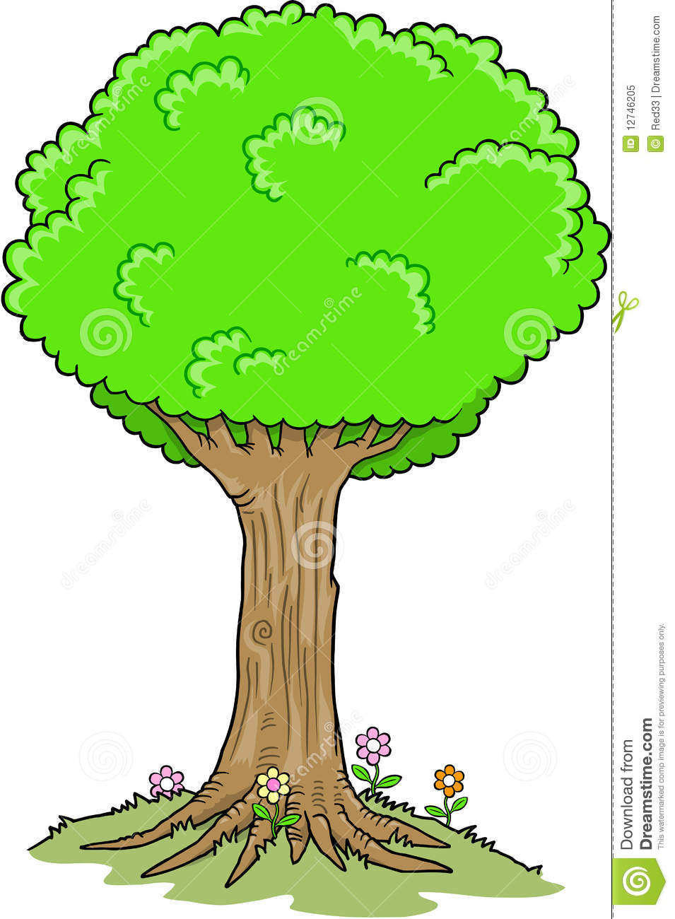 955x1300 Oak Tree Clipart