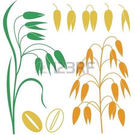 450x450 Oat Field Clipart
